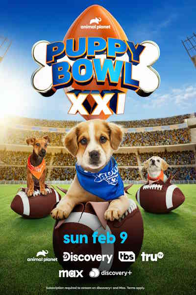 Puppy Bowl XXI