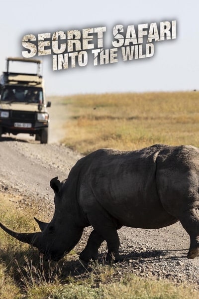 Secret Safari: Into the Wild - Season 1