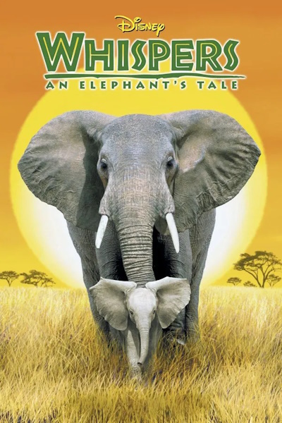 Whispers An Elephants Tale