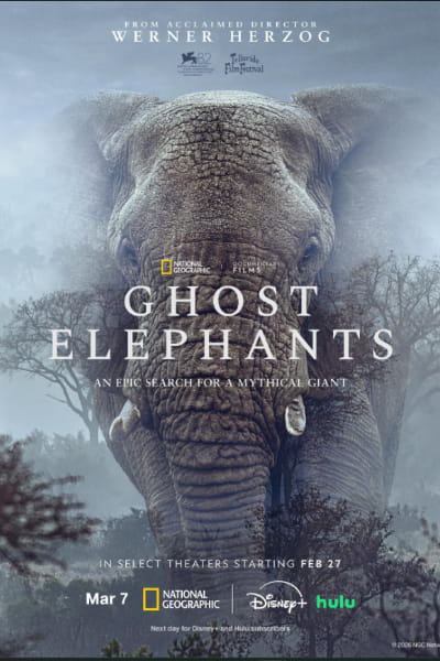 Ghost Elephants