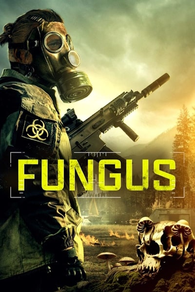 Fungus (Fungi)