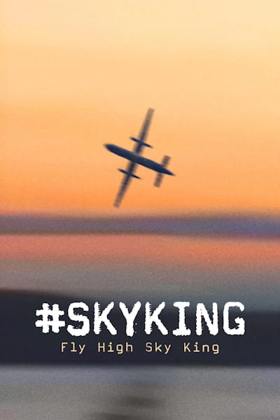 Skyking