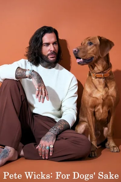 Pete Wicks: For Dogs Sake - Season 1