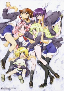 Girls Bravo: First Season [Audio: Eng]