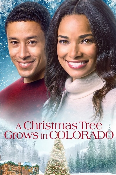 A Christmas Tree Grows in Colorado