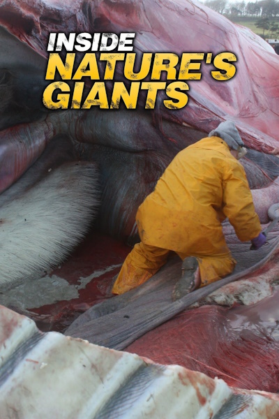 Inside Natures Giants - Season 2