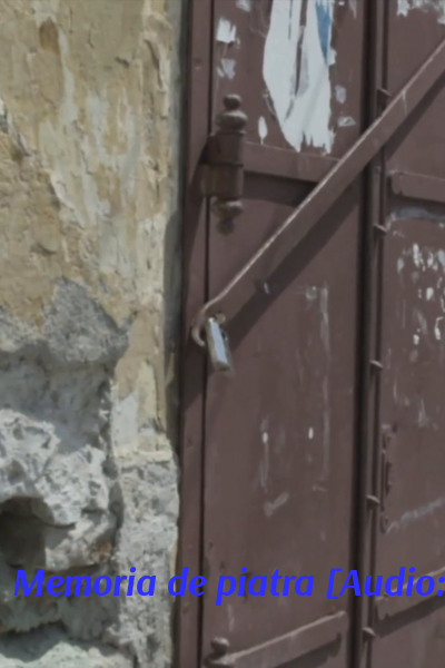 Memoria de piatra [Audio: Romanian]