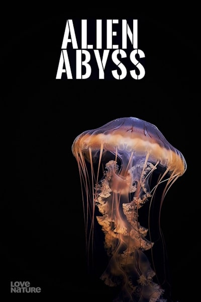 Alien Abyss - Season 1