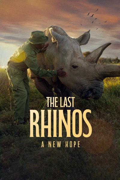 The Last Rhinos: A New Hope