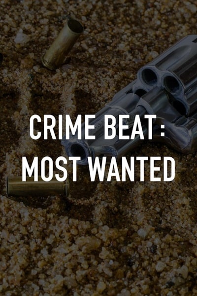 Crime Beat: Most Wanted - Season 2