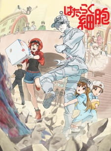 Cells at Work (Hataraku Saibou) - Season 1 [Audio: Eng]