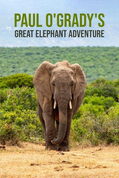 Paul OGradys Great Elephant Adventure - Season 1