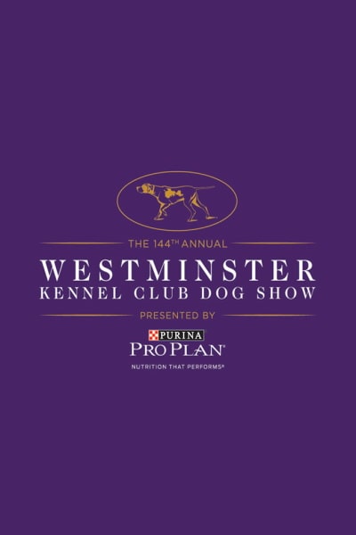 145th Westminster Kennel Club Dog Show