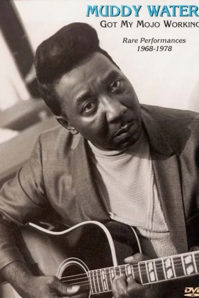 Muddy Waters Got My Mojo Working