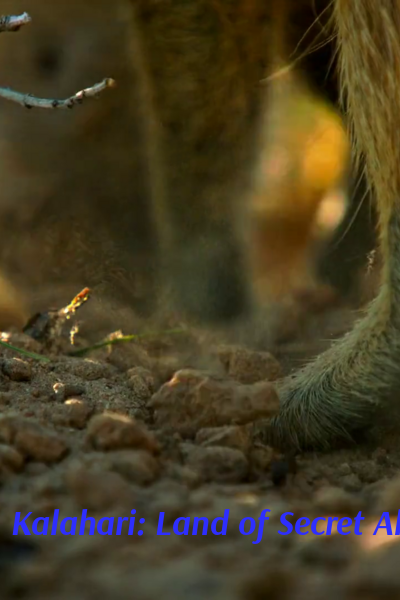 Kalahari: Land of Secret Alliances - Season 1