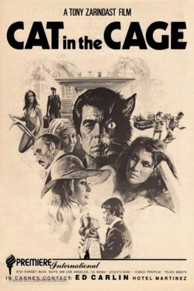 Cat in the Cage